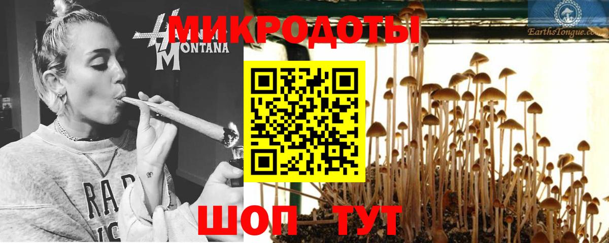 Галлюциногенные грибы Psilocybine cubensis Сосновый Бор